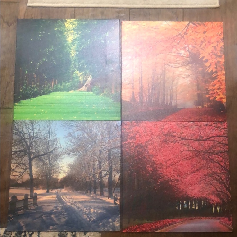 4 seasons canvas